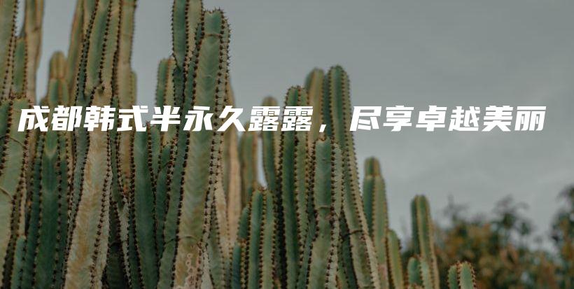 成都韓式半永久露露，盡享卓越美麗插圖