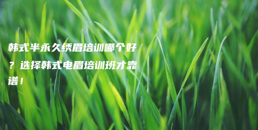 韓式半永久繡眉培訓(xùn)哪個好？選擇韓式電眉培訓(xùn)班才靠譜！插圖