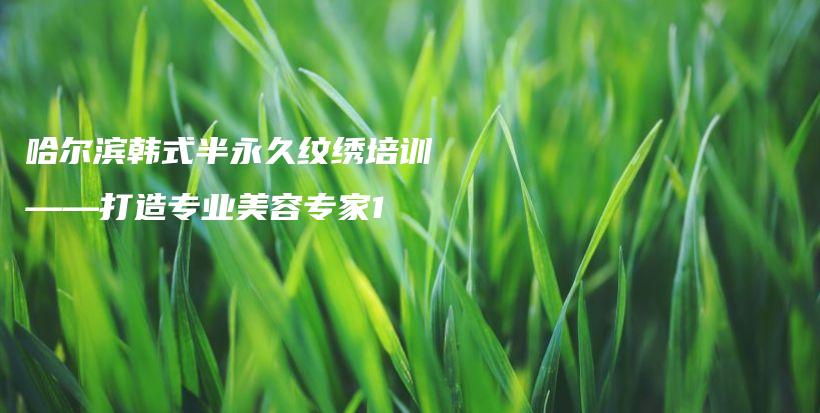 哈爾濱韓式半永久紋繡培訓(xùn)——打造專業(yè)美容專家1插圖