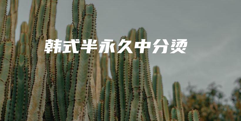 韓式半永久中分燙插圖