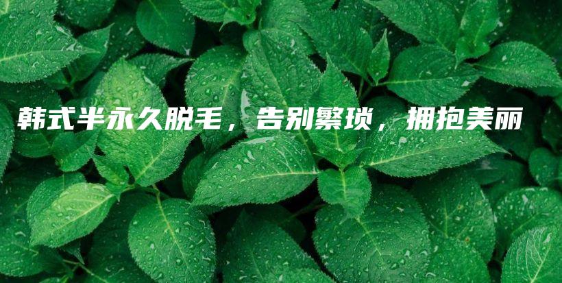 韓式半永久脫毛，告別繁瑣，擁抱美麗插圖