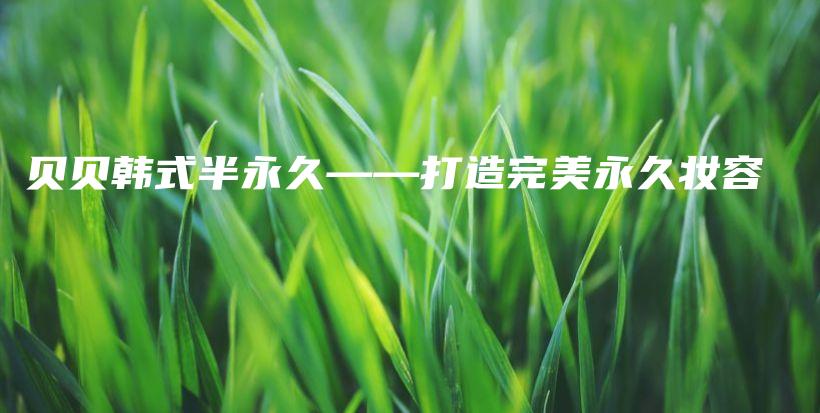 貝貝韓式半永久——打造完美永久妝容插圖