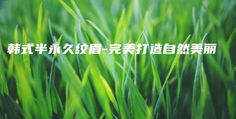 韓式半永久紋眉-完美打造自然美麗插圖