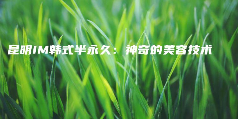 昆明IM韓式半永久：神奇的美容技術(shù)插圖
