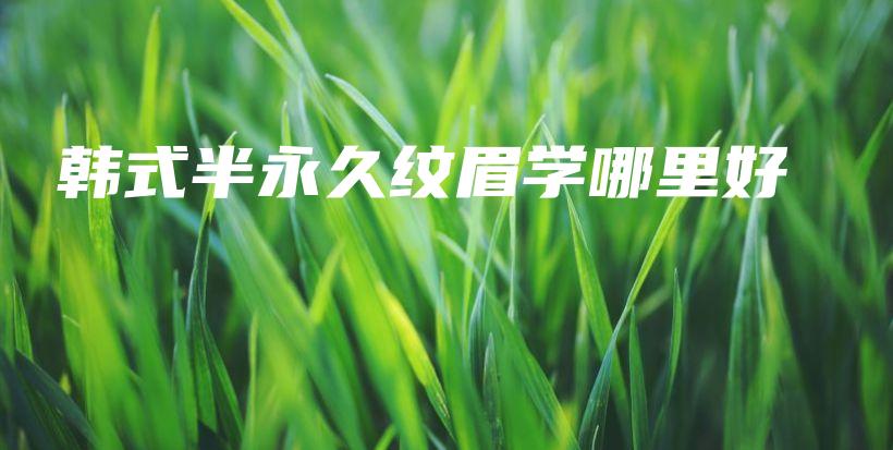 韓式半永久紋眉學哪里好插圖