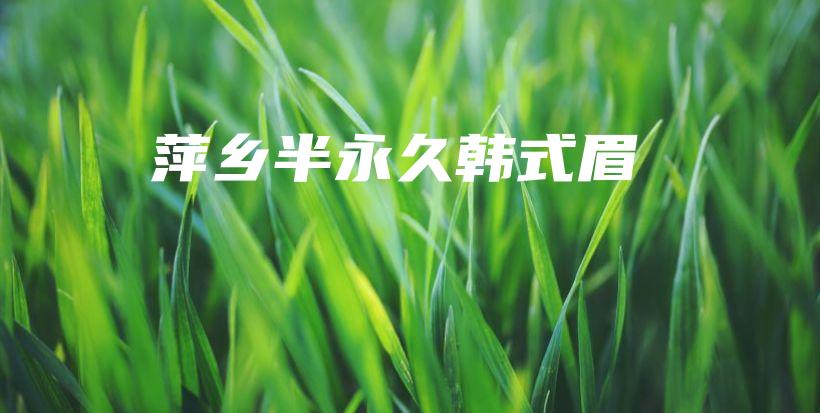 萍鄉(xiāng)半永久韓式眉插圖