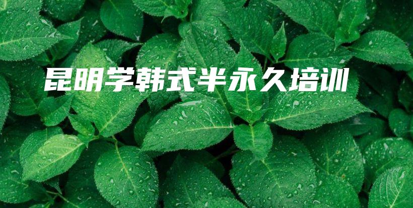 昆明學(xué)韓式半永久培訓(xùn)插圖