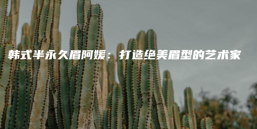 韓式半永久眉阿媛：打造絕美眉型的藝術(shù)家插圖