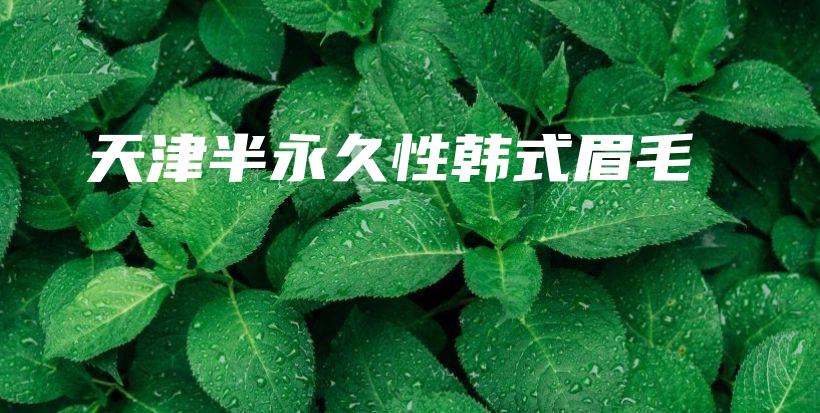 天津半永久性韓式眉毛插圖