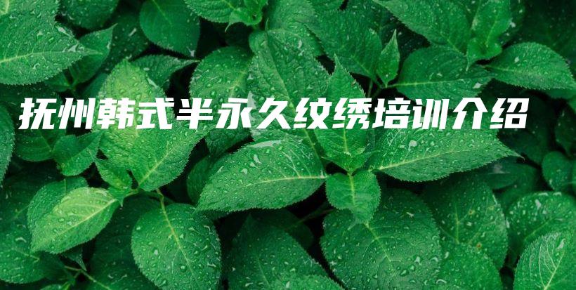 撫州韓式半永久紋繡培訓(xùn)介紹插圖