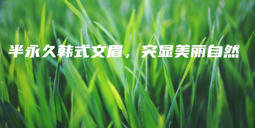 半永久韓式文眉，突顯美麗自然插圖