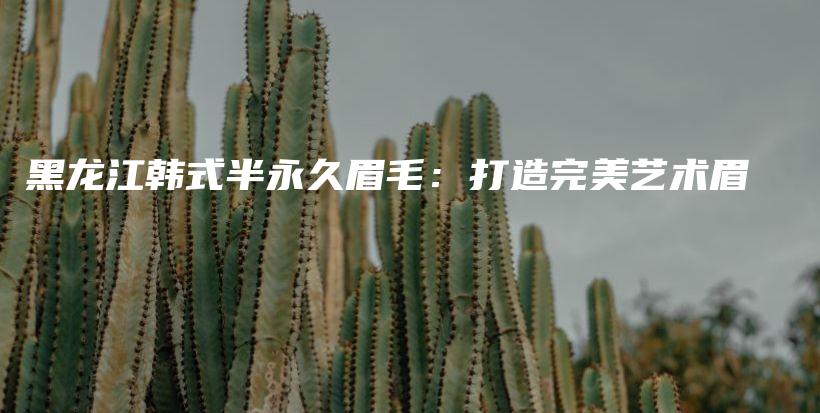 黑龍江韓式半永久眉毛：打造完美藝術(shù)眉插圖