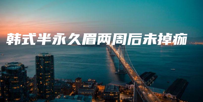 韓式半永久眉兩周后未掉痂插圖