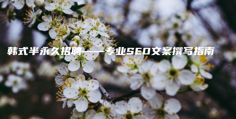 韓式半永久招聘——專業(yè)SEO文案撰寫指南插圖