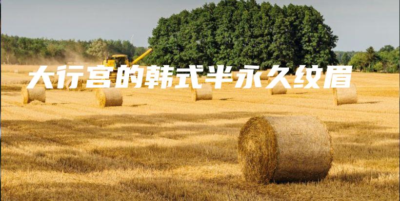 大行宮的韓式半永久紋眉插圖