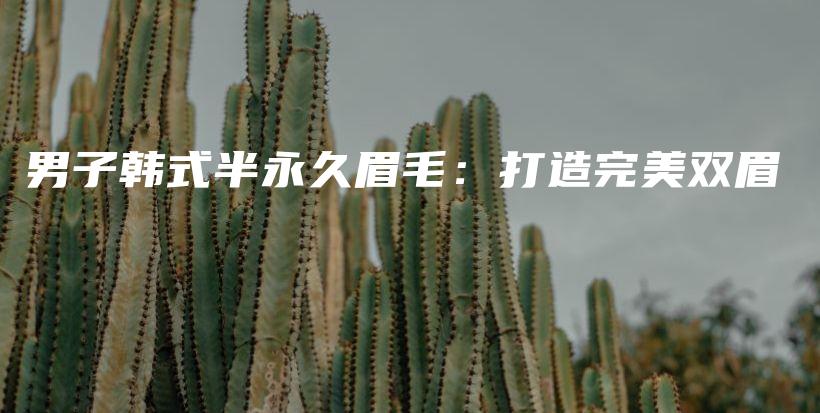 男子韓式半永久眉毛：打造完美雙眉插圖