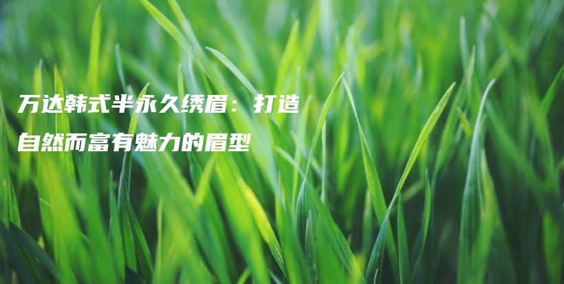 萬達(dá)韓式半永久繡眉：打造自然而富有魅力的眉型插圖