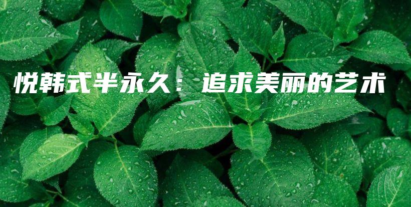 悅韓式半永久：追求美麗的藝術(shù)插圖