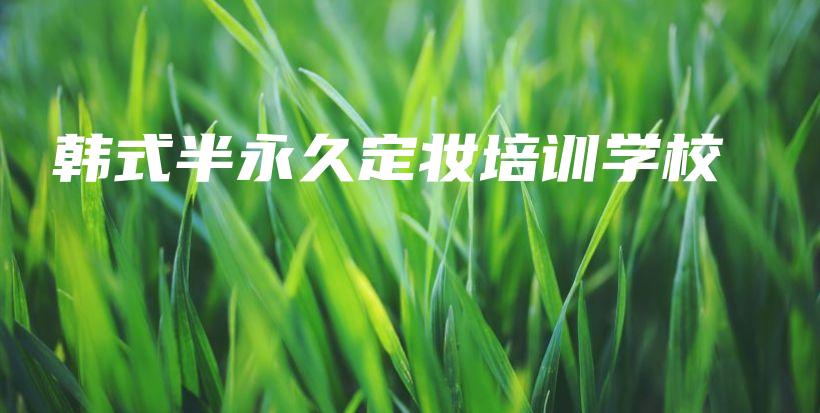 韓式半永久定妝培訓(xùn)學(xué)校插圖