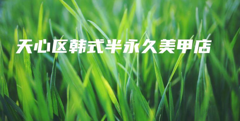 天心區(qū)韓式半永久美甲店插圖