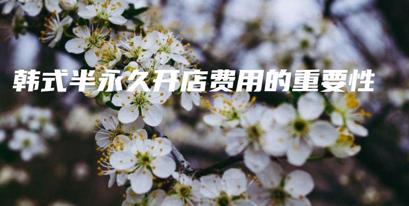 韓式半永久開店費用的重要性插圖