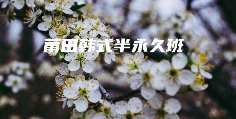 莆田韓式半永久班插圖