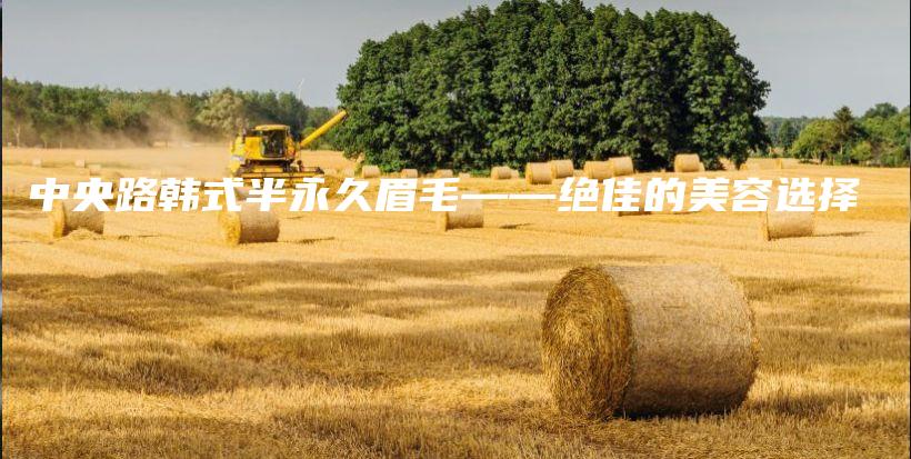 中央路韓式半永久眉毛——絕佳的美容選擇插圖
