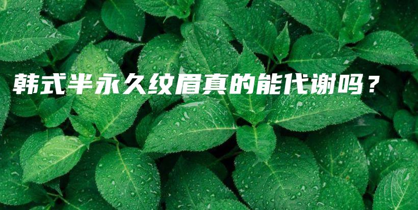 韓式半永久紋眉真的能代謝嗎？插圖