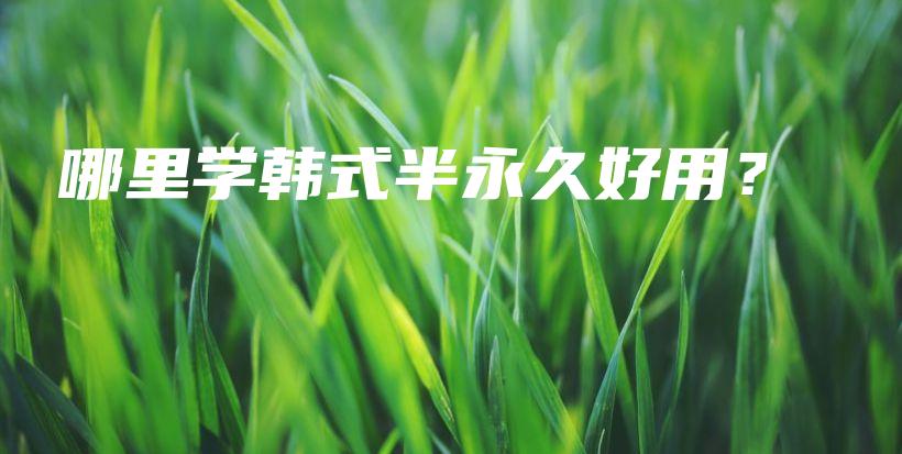 哪里學(xué)韓式半永久好用？插圖