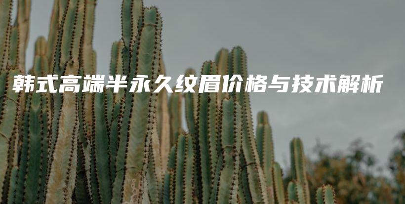 韓式高端半永久紋眉價(jià)格與技術(shù)解析插圖