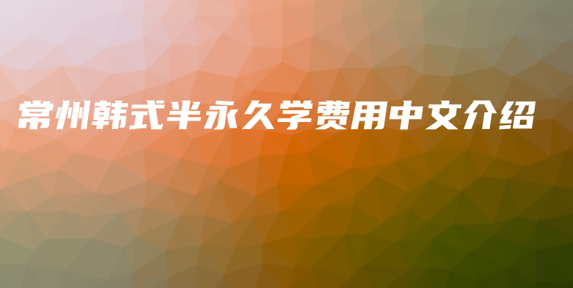 常州韓式半永久學(xué)費(fèi)用中文介紹插圖