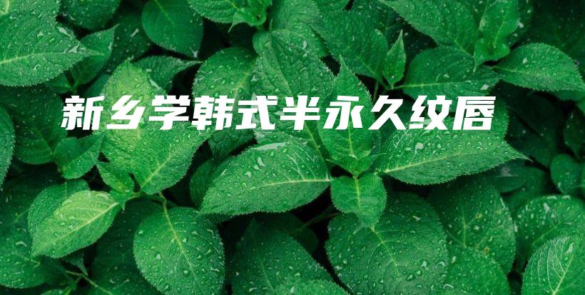 新鄉(xiāng)學(xué)韓式半永久紋唇插圖