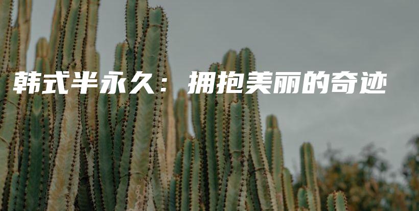 韓式半永久：擁抱美麗的奇跡插圖