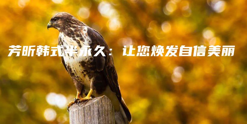 芳昕韓式半永久：讓您煥發(fā)自信美麗插圖