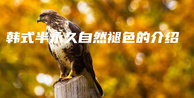 韓式半永久自然褪色的介紹插圖