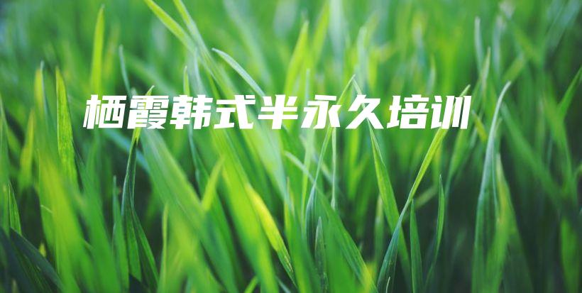 棲霞韓式半永久培訓(xùn)插圖