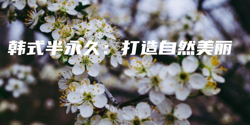 韓式半永久：打造自然美麗插圖