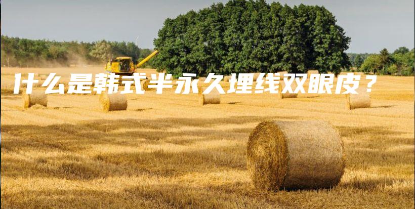 什么是韓式半永久埋線雙眼皮？插圖