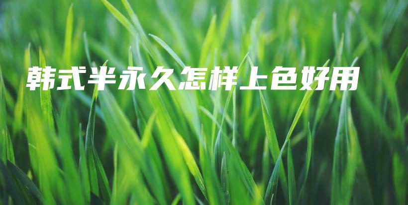 韓式半永久怎樣上色好用插圖