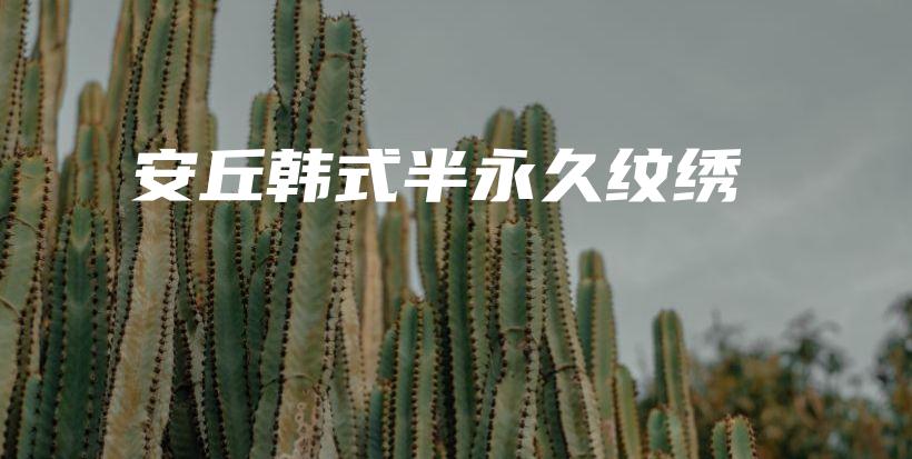 安丘韓式半永久紋繡插圖