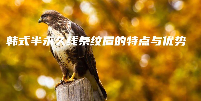 韓式半永久線條紋眉的特點與優(yōu)勢插圖