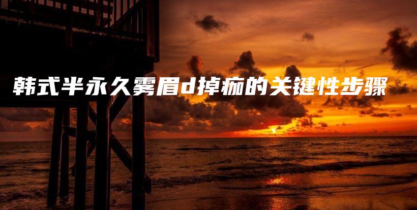 韓式半永久霧眉d掉痂的關(guān)鍵性步驟插圖