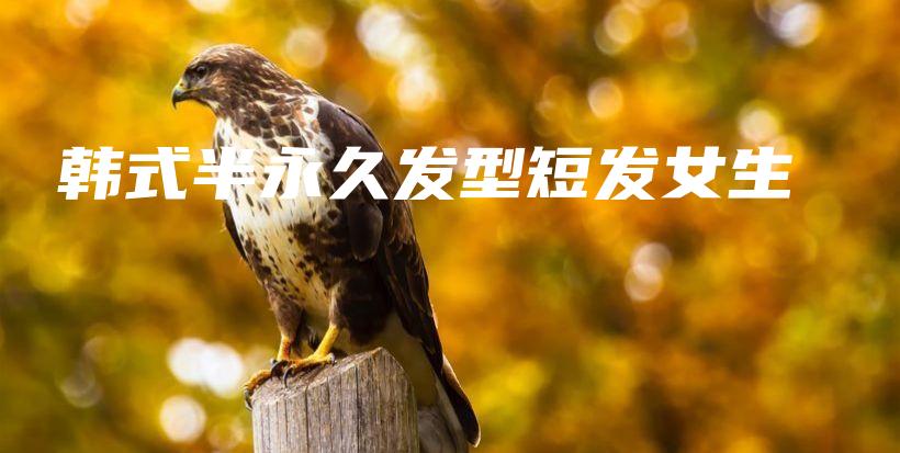 韓式半永久發(fā)型短發(fā)女生插圖