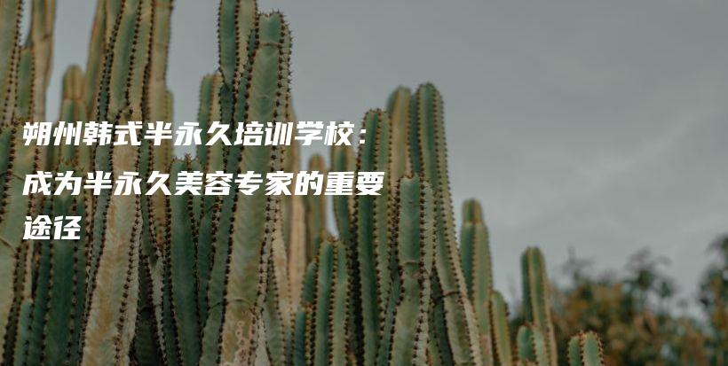 朔州韓式半永久培訓(xùn)學(xué)校：成為半永久美容專家的重要途徑插圖