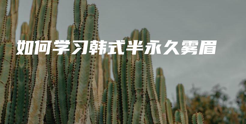 如何學(xué)習(xí)韓式半永久霧眉插圖