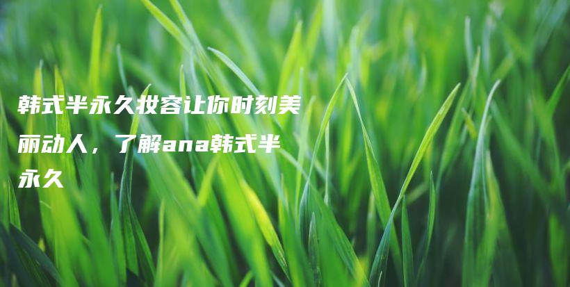 韓式半永久妝容讓你時(shí)刻美麗動(dòng)人，了解ana韓式半永久插圖
