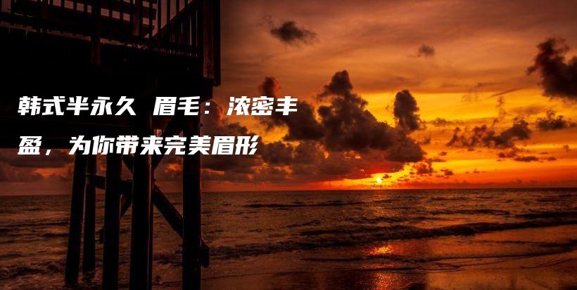 韓式半永久 眉毛：濃密豐盈，為你帶來(lái)完美眉形插圖