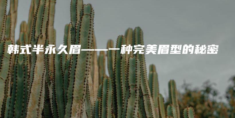 韓式半永久眉——一種完美眉型的秘密插圖