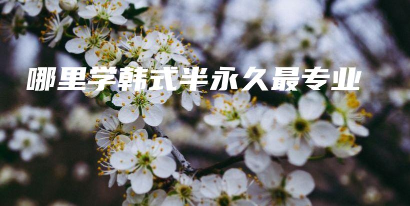 哪里學(xué)韓式半永久最專業(yè)插圖