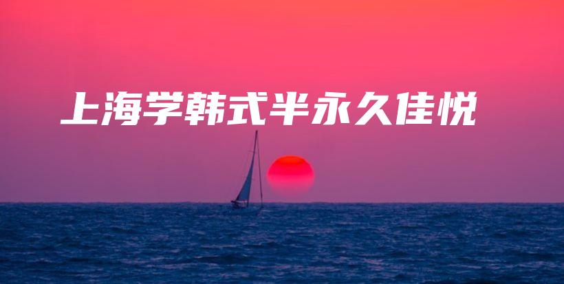 上海學(xué)韓式半永久佳悅插圖